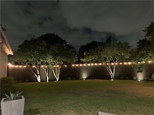 Landscape Lighting